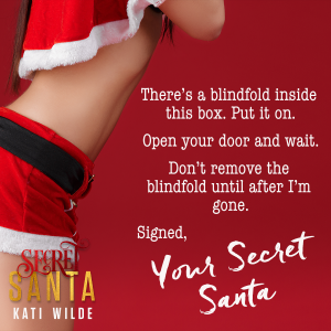 Secret Santa Teaser