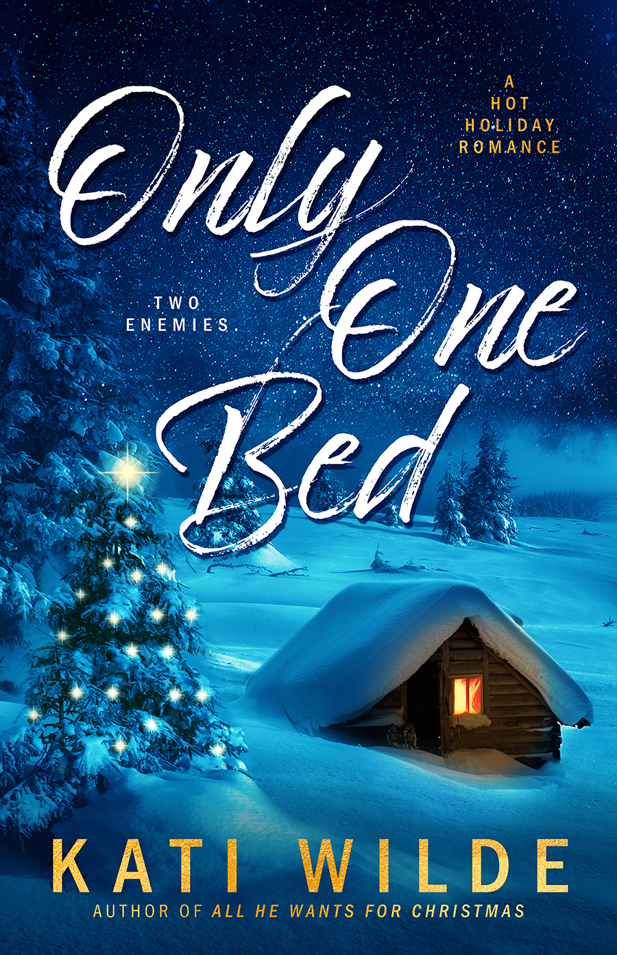 Only One Bed by Kati Wilde