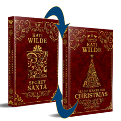 Secret Santa is two books in one — just flip it!