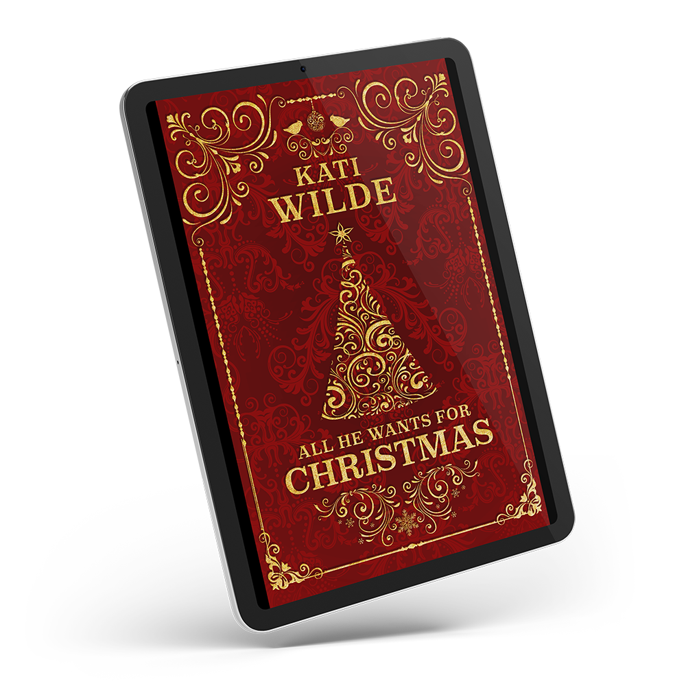 All He Wants For Christmas – Discreet Edition – ebook (EPUB)